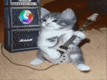 Vibe Guitar GIF - Vibe Guitar Cat GIFs