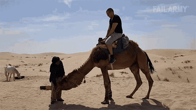 camel-ride-fail-fell-down.gif