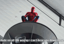 I Cant Hear You Down There GIF - I Cant Hear You Down There Spider Man GIFs