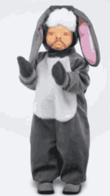 Dancing Bunny GIF - Dancing Bunny Clapping GIFs