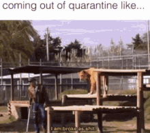 Joeexotic Quarantine GIF - Joeexotic Quarantine GIFs
