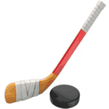 sport emojis hockey puck hockey