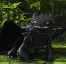 Toothless Httyd GIF - Toothless Httyd GIFs