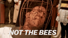 Nicholas Nicholascage GIF - Nicholas Nicholascage Bees GIFs