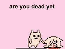 Are You Dead Yet Cat GIF - Are You Dead Yet Cat Dead GIFs