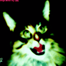 Venetian Snares Vsnares GIF - Venetian Snares Vsnares Cat GIFs