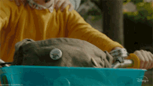 Riding A Bike Ulysses GIF - Riding A Bike Ulysses Flora And Ulysses GIFs