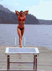 Erica Durance Bikini GIF - Erica Durance Bikini Smallville GIFs