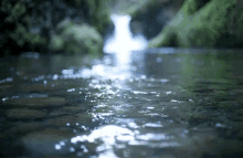 River Flowing GIFs | Tenor