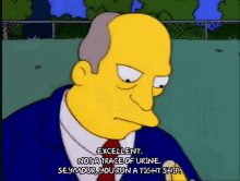 The Simpsons Skinner GIF - The Simpsons Skinner Seymour GIFs