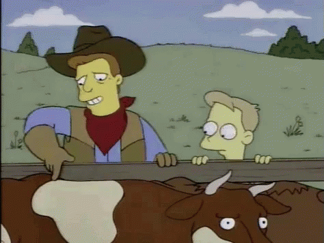 NRL Fantasy 2022 - Part 11 - Let's Gone Cowboys ! - Page 51 Simpsons-vaca