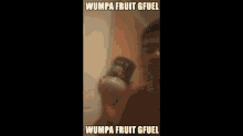 wumpa fruit gfuel bailey bailey pyne gfuel funny meme