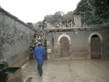 Dogs Who Let The Dogs Out GIF - Dogs Who Let The Dogs Out GIFs