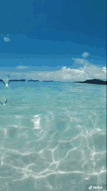 Ocean Thewaterkillsme GIF - Ocean Thewaterkillsme GIFs