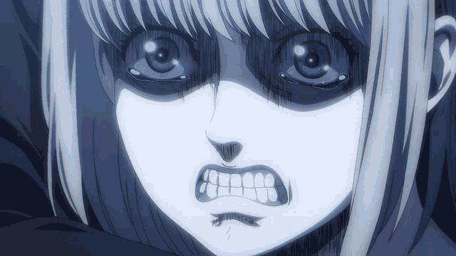 tenor.gif