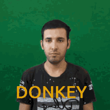 Donkey Animal GIF - Donkey Animal Haha GIFs