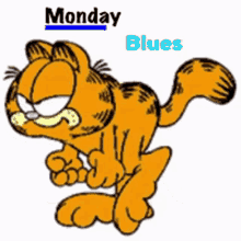 Monday Morning GIF - Monday Morning Blues GIFs