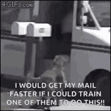 Mail Delivery Dog GIF - Mail Delivery Mail Dog GIFs
