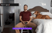 Dogs Are Wise Needy Dog GIF - Dogs Are Wise Needy Dog Pay Attention To Me GIFs