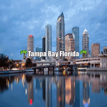 Tampa Bay GIF - Tampa Bay GIFs