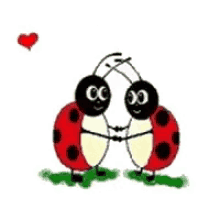 Bugs Lady Bugs GIF - Bugs Lady Bugs Hearts GIFs