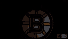 Boston Bruins Lets Go Bruins GIF - Boston Bruins Lets Go Bruins Nhl GIFs