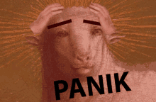 Panik Panic GIF - Panik Panic Goat GIFs