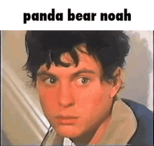 panda bear noah animal collective noah lennox panda bear panda bear noah animal collective noah lennox panda bear