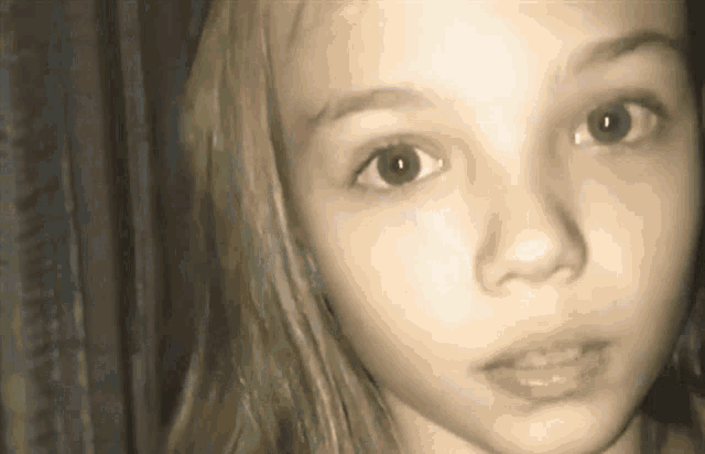 siberian mouse gif