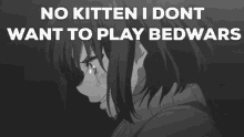 No Kitten I Dont Want To Play Bedwars Bedwars GIF - No Kitten I Dont Want To Play Bedwars Bedwars Minecraft GIFs