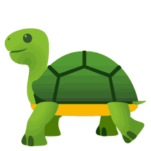 Tortugas PFP - Tortugas Profile Pics