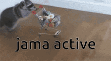 Jama Jama Active GIF - Jama Jama Active Aj GIFs