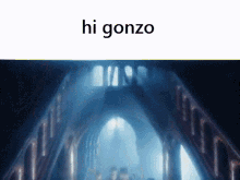 Gonzocreed Hi Gonzo GIF - Gonzocreed Hi Gonzo GIFs