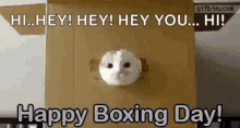 Boxing Day Hey GIF - Boxing Day Hey Hi GIFs