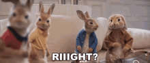 Riiight Peter Rabbit GIF - Riiight Peter Rabbit Benjamin Bunny GIFs