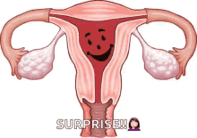 koolaid blood uterus surprise