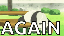 Lazy Panda GIF - Lazy Panda GIFs
