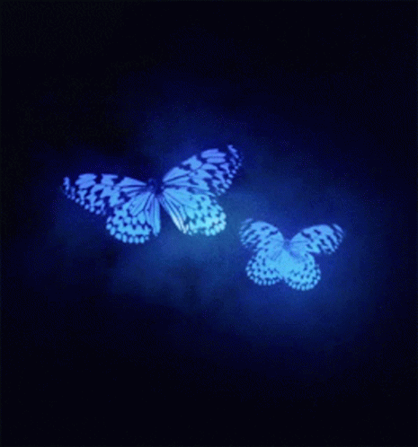 butterfly-blue.gif