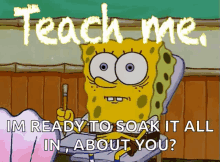 Teach Me Spongebob GIF - Teach Me Spongebob School GIFs