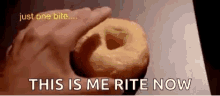 Donut Makes You Fat Boy GIF - Donut Makes You Fat Boy Ben Stiller GIFs