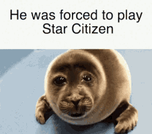 He Was Forced Star Citizen GIF - He Was Forced Forced Star Citizen GIFs