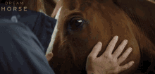 Petting Horse Jan Vokes GIF - Petting Horse Jan Vokes Toni Collette GIFs