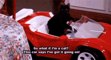 Black Cat So What If Im A Cat GIF - Black Cat So What If Im A Cat Ive Got It Going On GIFs