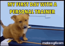 Trainer Personal GIF - Trainer Personal Workout GIFs
