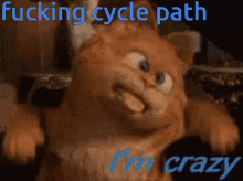 Garfield Im Crazy GIF - Garfield Im Crazy Crazy GIFs