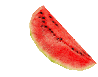 Basil Omori Sticker - Basil Omori Watermelon Stickers