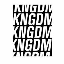kngdm kingdome branding agency monterrey