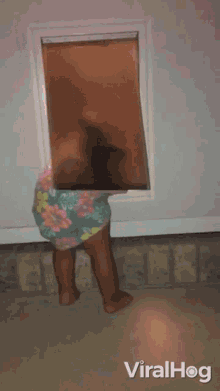 Peeking Through Dog Door Viralhog GIF - Peeking Through Dog Door Viralhog Coming Out Through The Dog Door GIFs