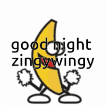 Good Night Zingywingy GIF - Good Night Zingywingy GIFs