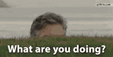 nosy hi whats up sneaky scary nosy hi whats up sneaky scary
